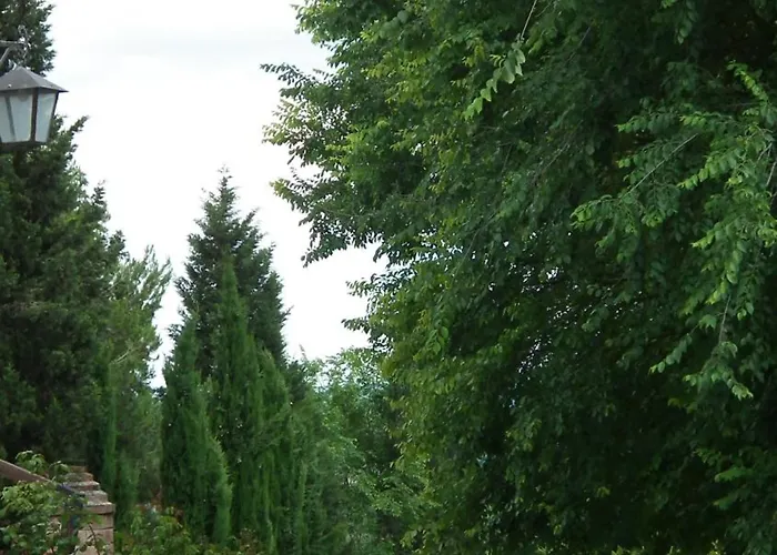 Il Canto Del Sole モンテローニ・ダルビア