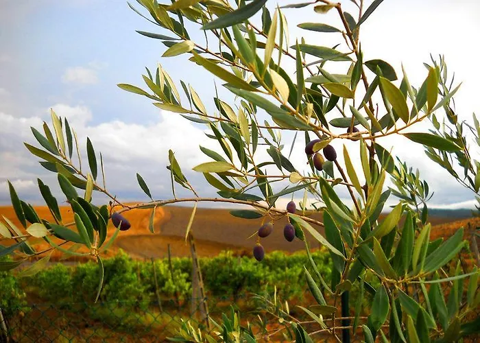 Il Canto Del Sole ベッド・アンド・ブレックファスト 4*